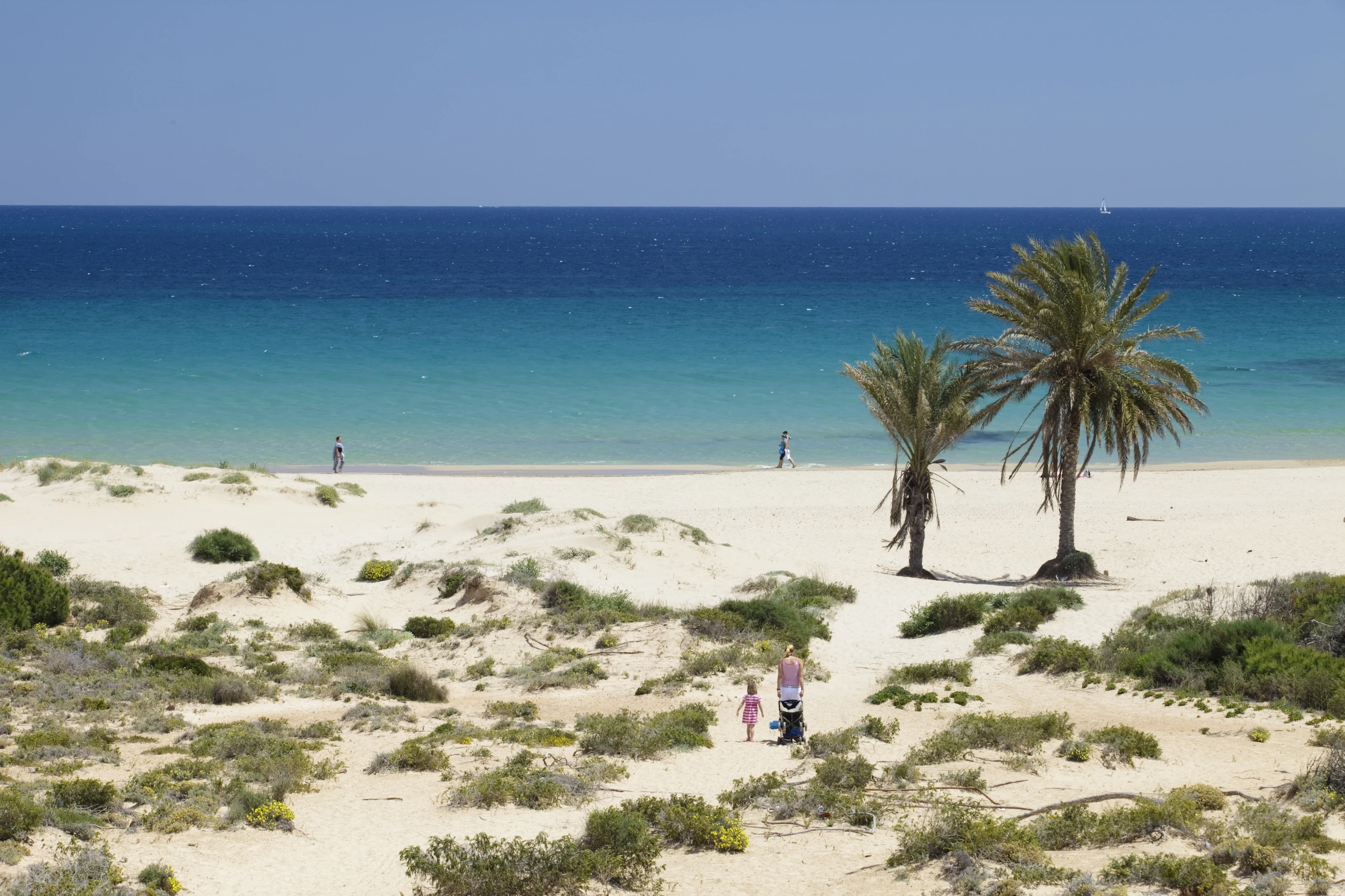 Foto de Arenales Del Sol por 📸 © Turespaña
Fuente: tourspain.es