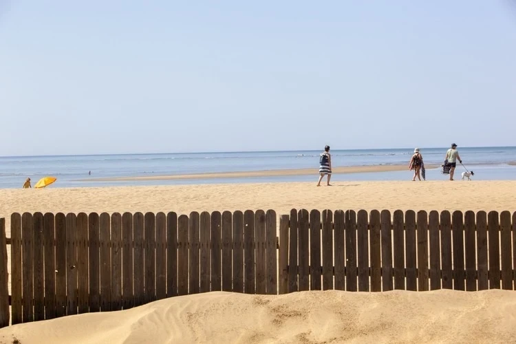 Foto de Isla Canela por 📸 © TURISMO ANDALUZ
Fuente: andalucia.org