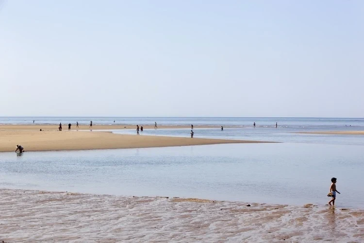 Foto de Isla Canela por 📸 © TURISMO ANDALUZ
Fuente: andalucia.org