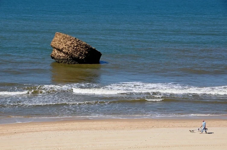 Foto de Matalascañas por 📸 © TURISMO ANDALUZ
Fuente: andalucia.org