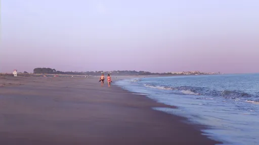 Gaviota