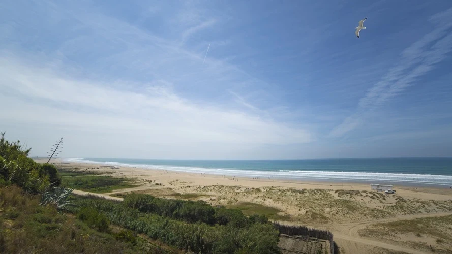 Foto de Fontanilla por 📸 © TURISMO ANDALUZ
Fuente: andalucia.org