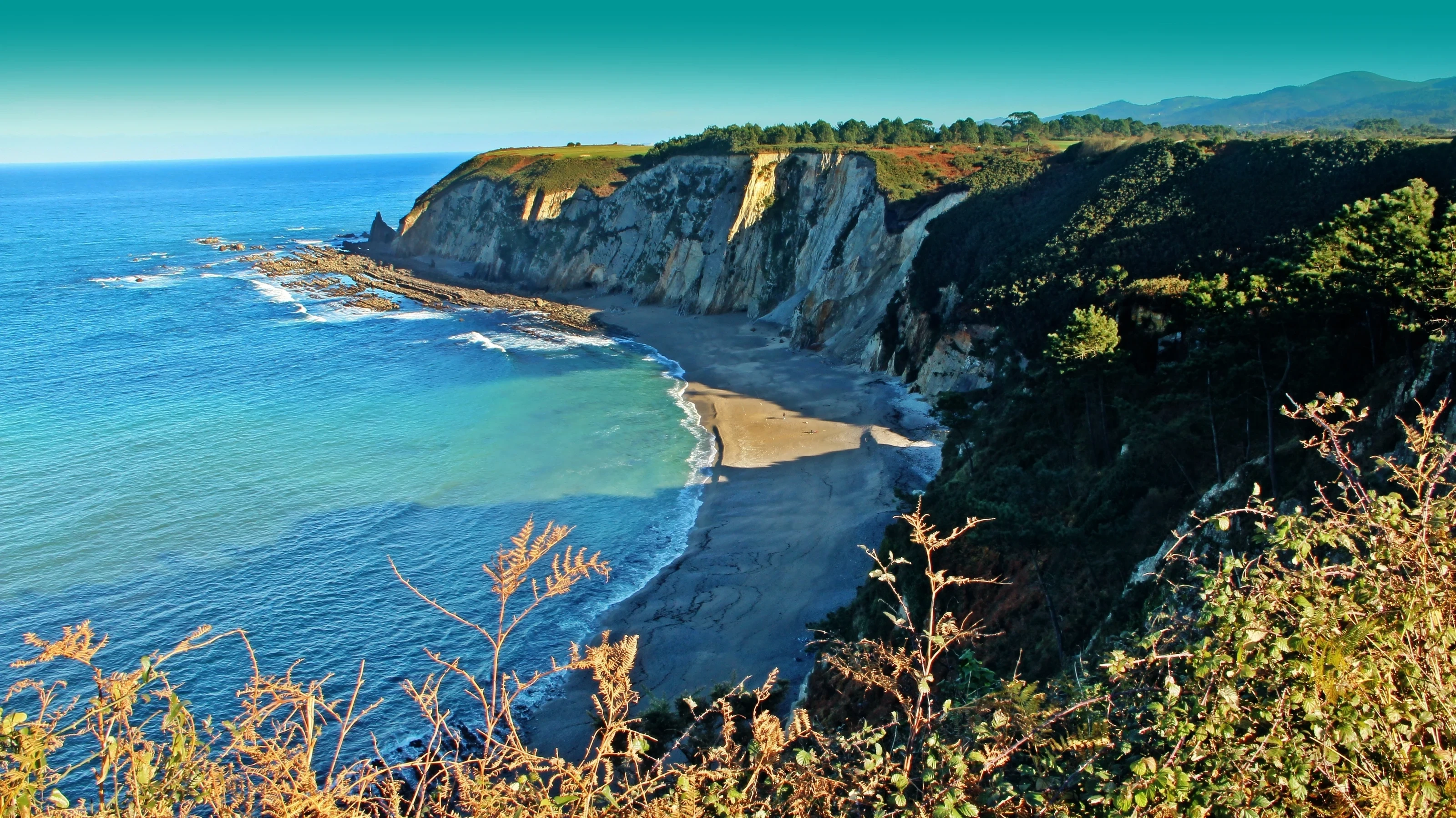Foto de Plumineru por 📸 Manuel Acebal - Turismo Asturias