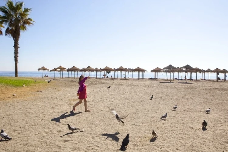 Foto de El Palo por 📸 © TURISMO ANDALUZ
Fuente: andalucia.org
