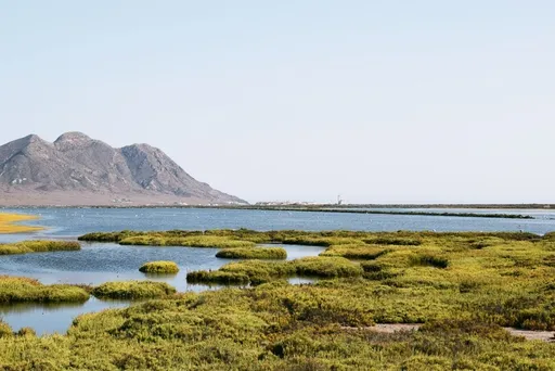 Levante Almerimar